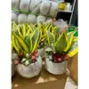 Sứ 10cm mix lámayman