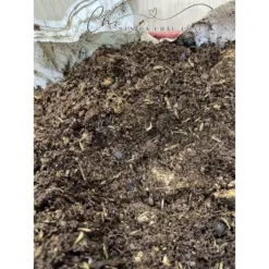 1KG Giá Thể Trồng Hương Thảo, Bạc Hà, Dâu Tây và Gia Vị Tây - ĐẤT TRỘN TỐT CHO CÂY TRỒNG